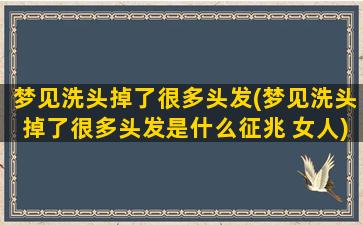 梦见洗头掉了很多头发(梦见洗头掉了很多头发是什么征兆 女人)